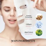 facial mask sheet (1)