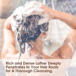 shampoo argan oil (2)