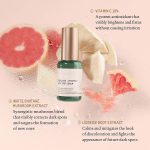 Squalane Vitamin C Dark Spot Facial Serum (6)