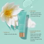 Squalane Zinc Sheer Mineral Sunscreen Broad-Spectrum (1)